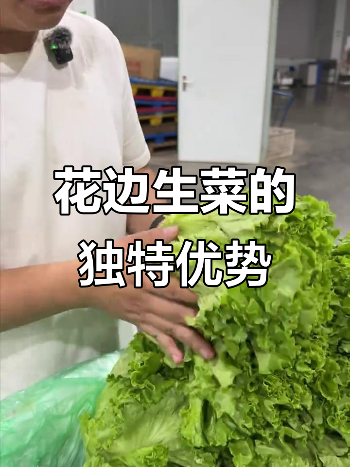 花边生菜:烤肉必备,叶片大又适合包肉