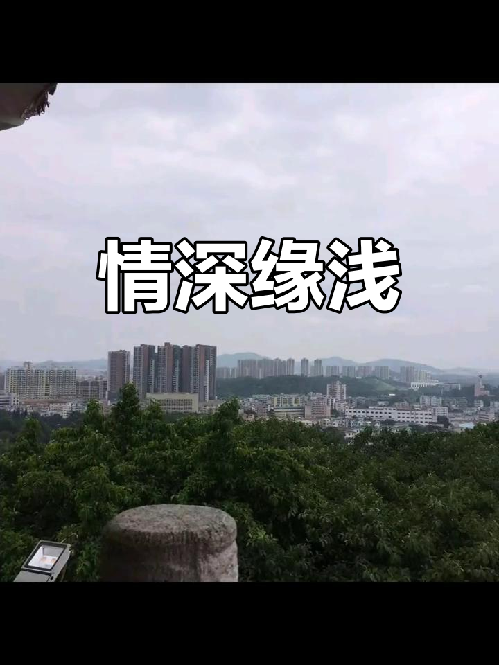 金蟾为爱痴狂,天鹅离去后,只余孤寂与金钱相伴