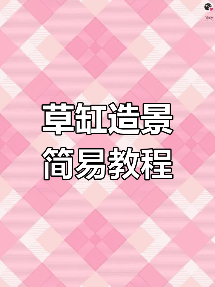 用一根木棍打造简单大气鱼缸景观