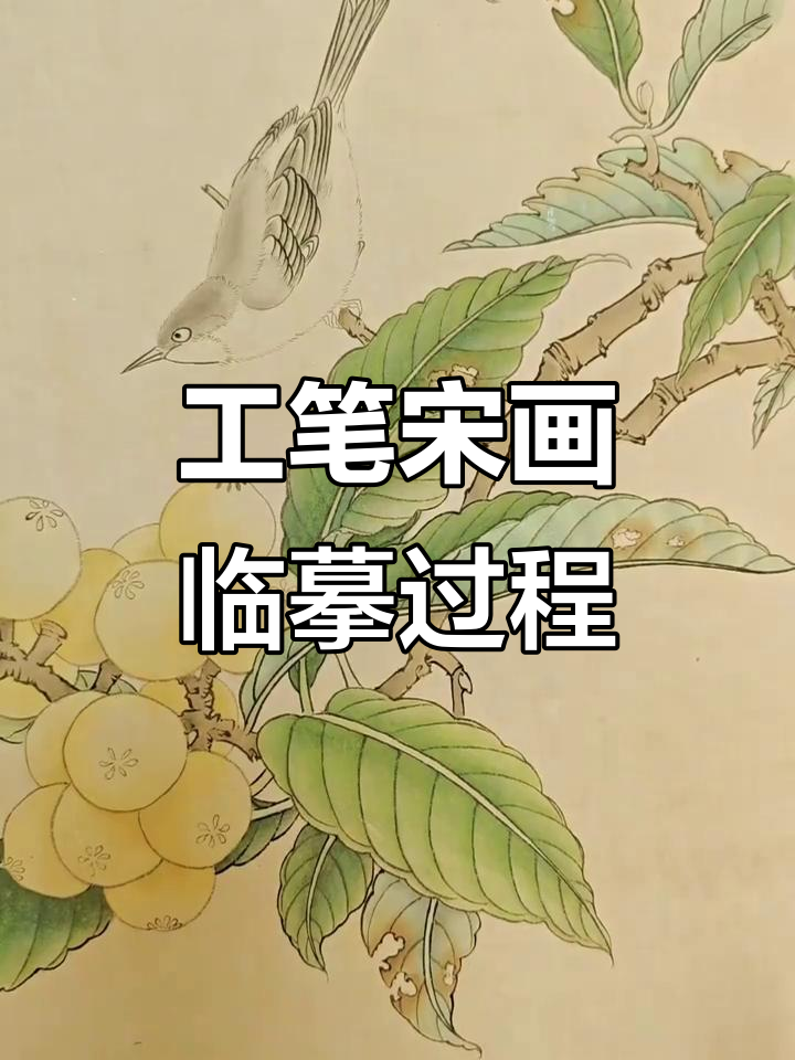 宋代花鸟画临摹技巧:从枇杷山鸟图到工笔画的心境修炼