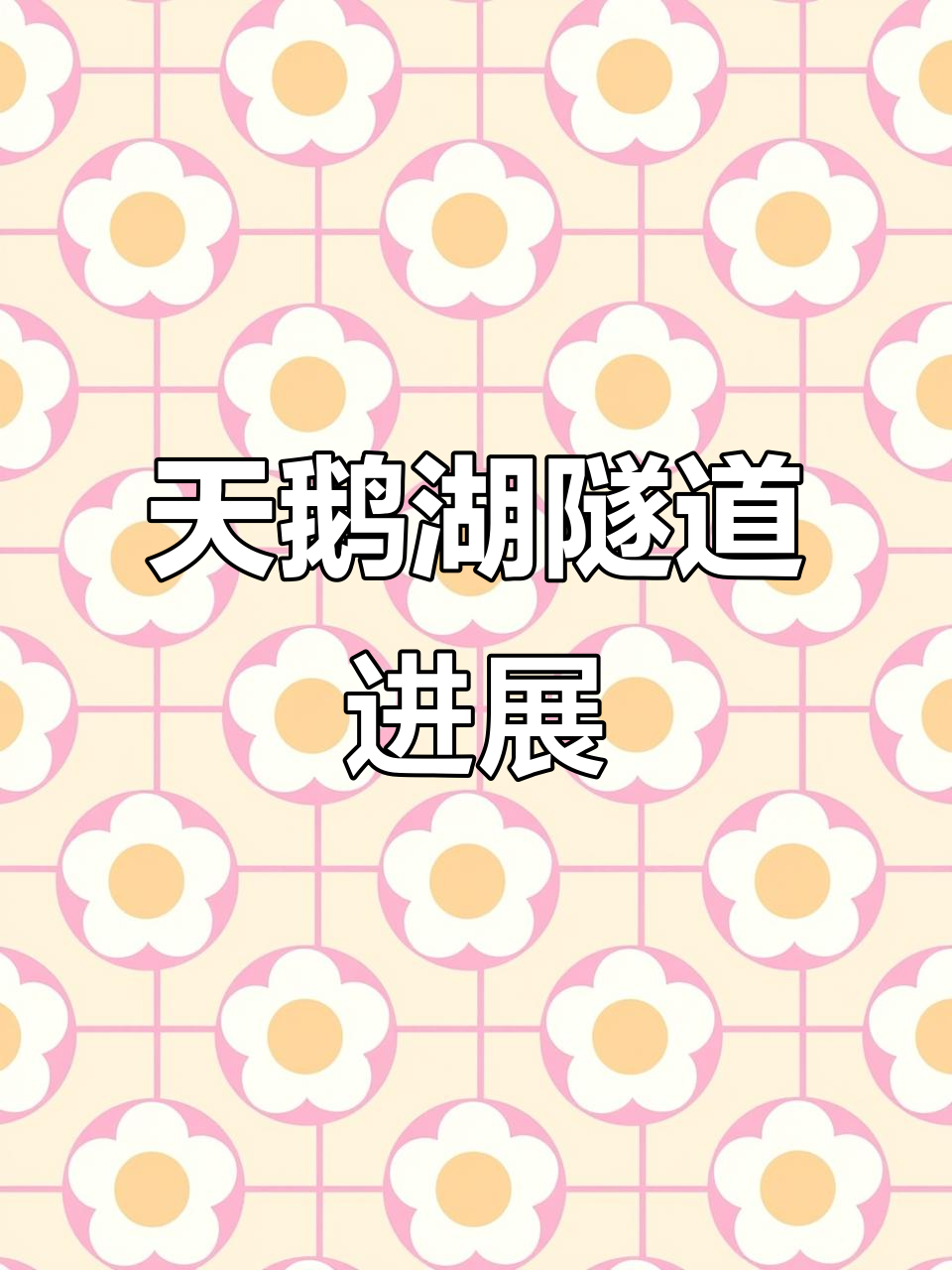 合肥天鹅湖隧道即将完工,航拍现场震撼来袭