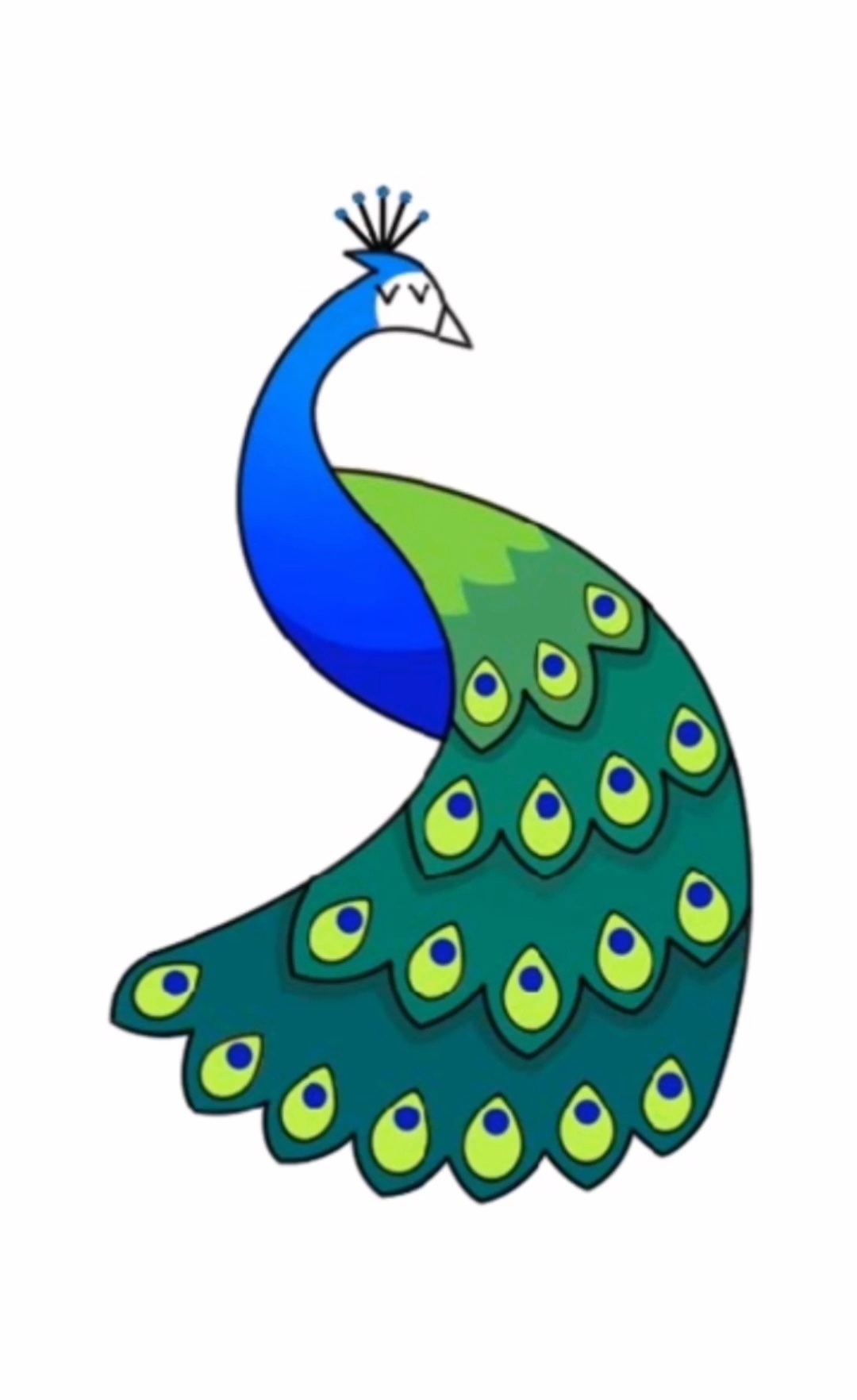 孔雀简笔画