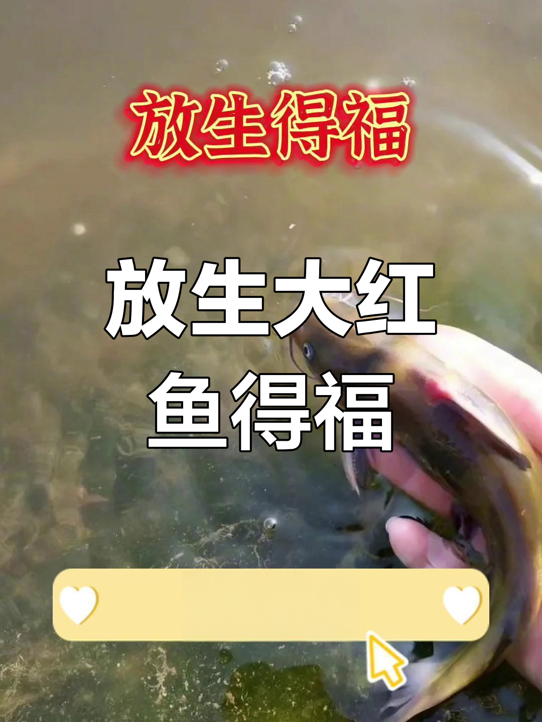 渔网捕到大红鱼,老夫妻意外得福