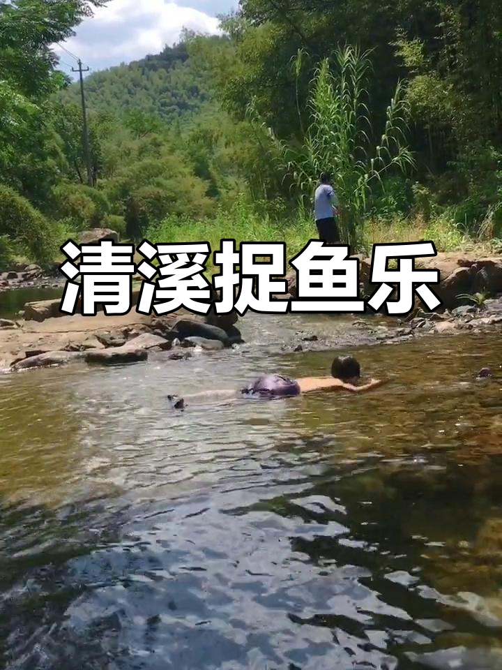 浙江山水清幽,鱼虾清晰可见,亲子捉鱼的绝佳去处
