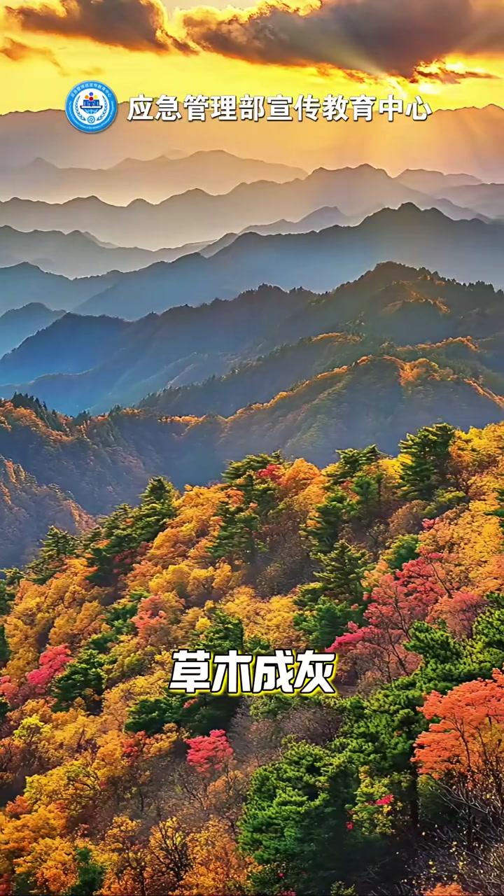 森林防火正当时,牢记森林防火“十不准”!森林防火(来源:国家应急科普宣传)投稿邮箱:168