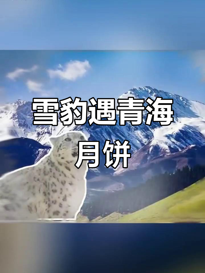 雪豹邂逅青海月饼,高原风味与人间美味的完美碰撞