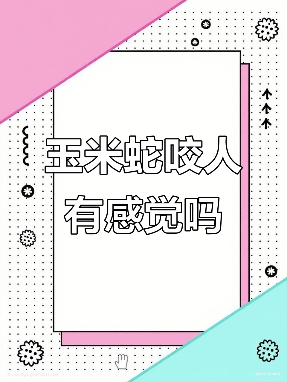 玉米蛇咬人到底有多疼?了解无毒宠物蛇的攻击力