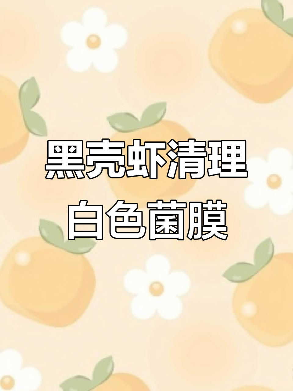 黑壳虾吃菌膜,效果慢但有效!