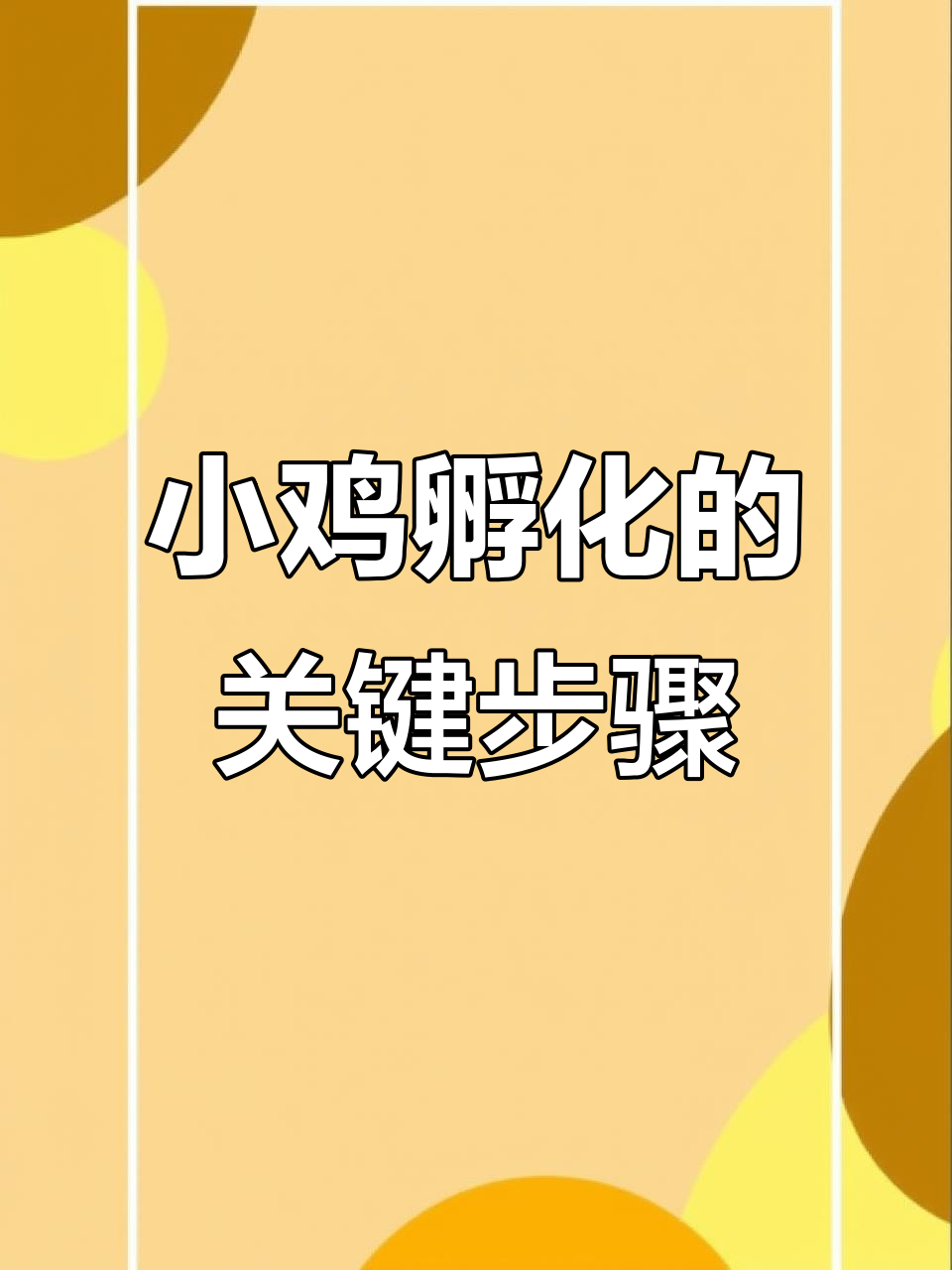 孵化小鸡的消毒与开口药使用技巧