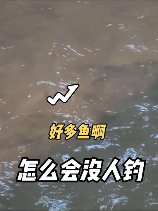 三岔湖之最凉快钓位,鱼又多,为啥没人钓,我终于找到原因 上期发的视频,评论都已经有说,我是