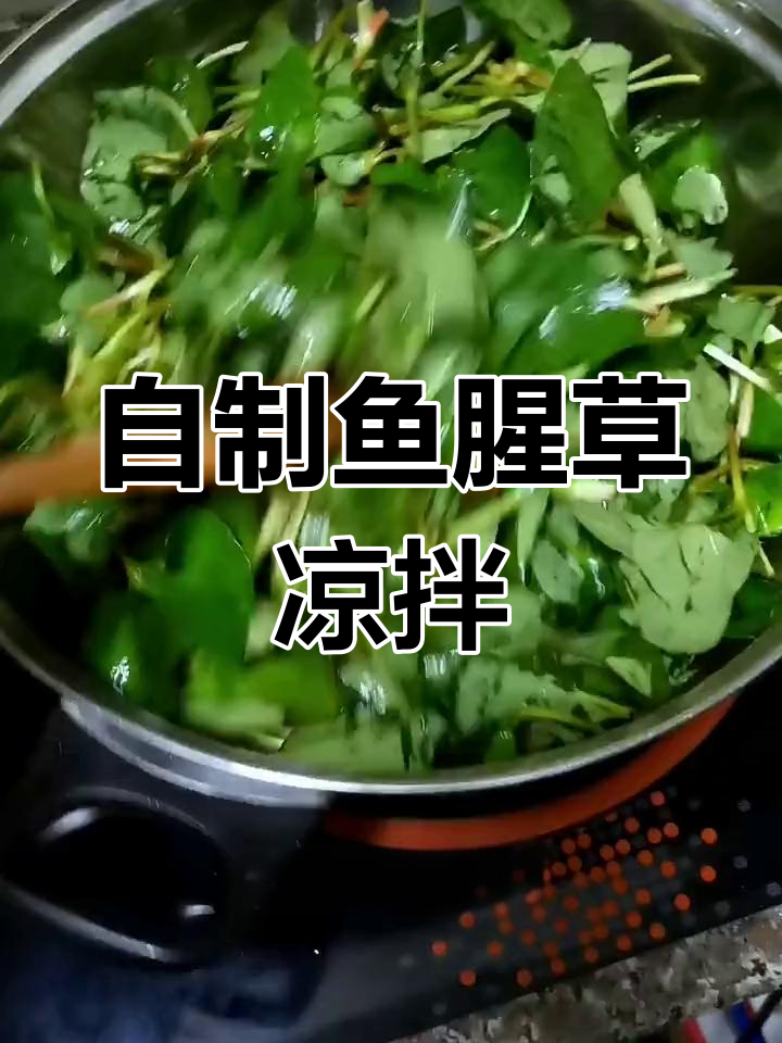 鱼腥草凉拌菜的家常做法,清爽开胃必备