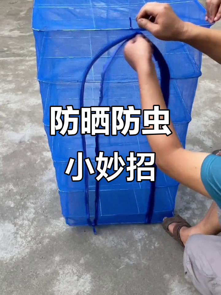晒食材时,用网罩防蚊虫,保持清洁卫生