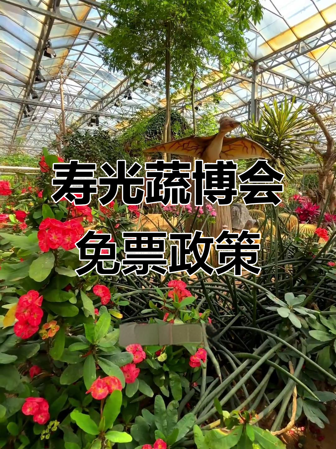 寿光蔬菜博览会4月20日开园,60岁以上老人免费入场
