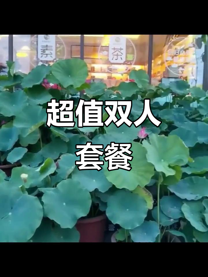 闻鲜茶餐厅，禅心与珍菌完美搭配，双人餐超值体验！
