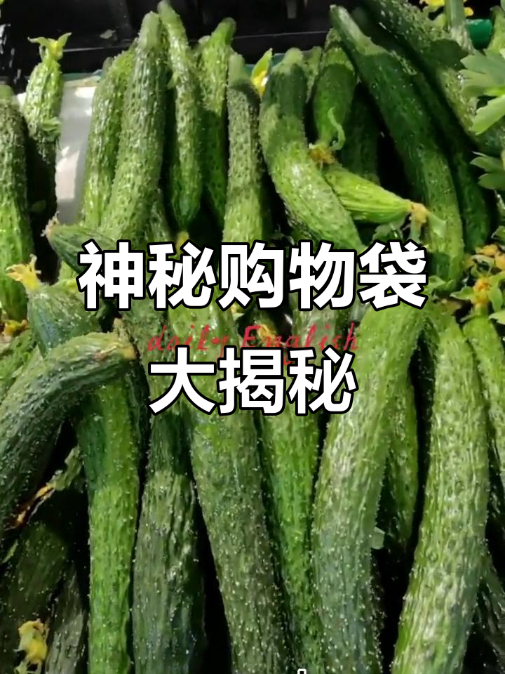 购物袋里的秘密,鱼黄瓜和慢速测试的奇妙组合
