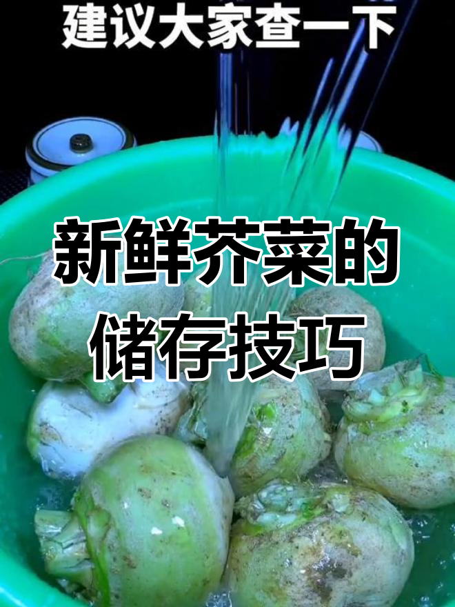 芥菜疙瘩的保存与制作方法