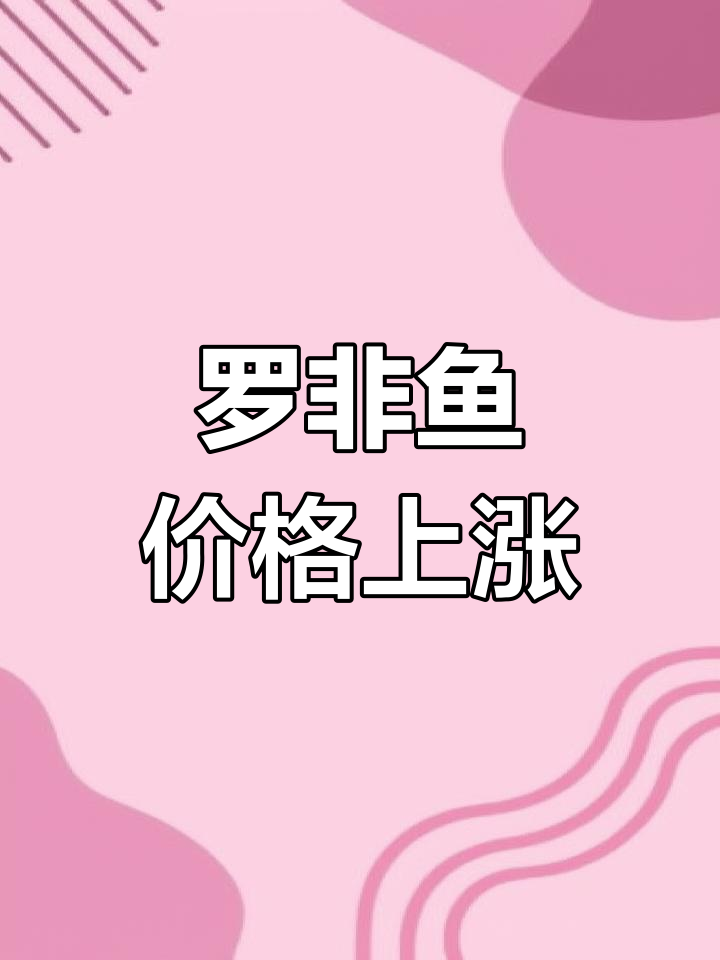 广东湛海罗非鱼价格持续上涨,市场行情火爆