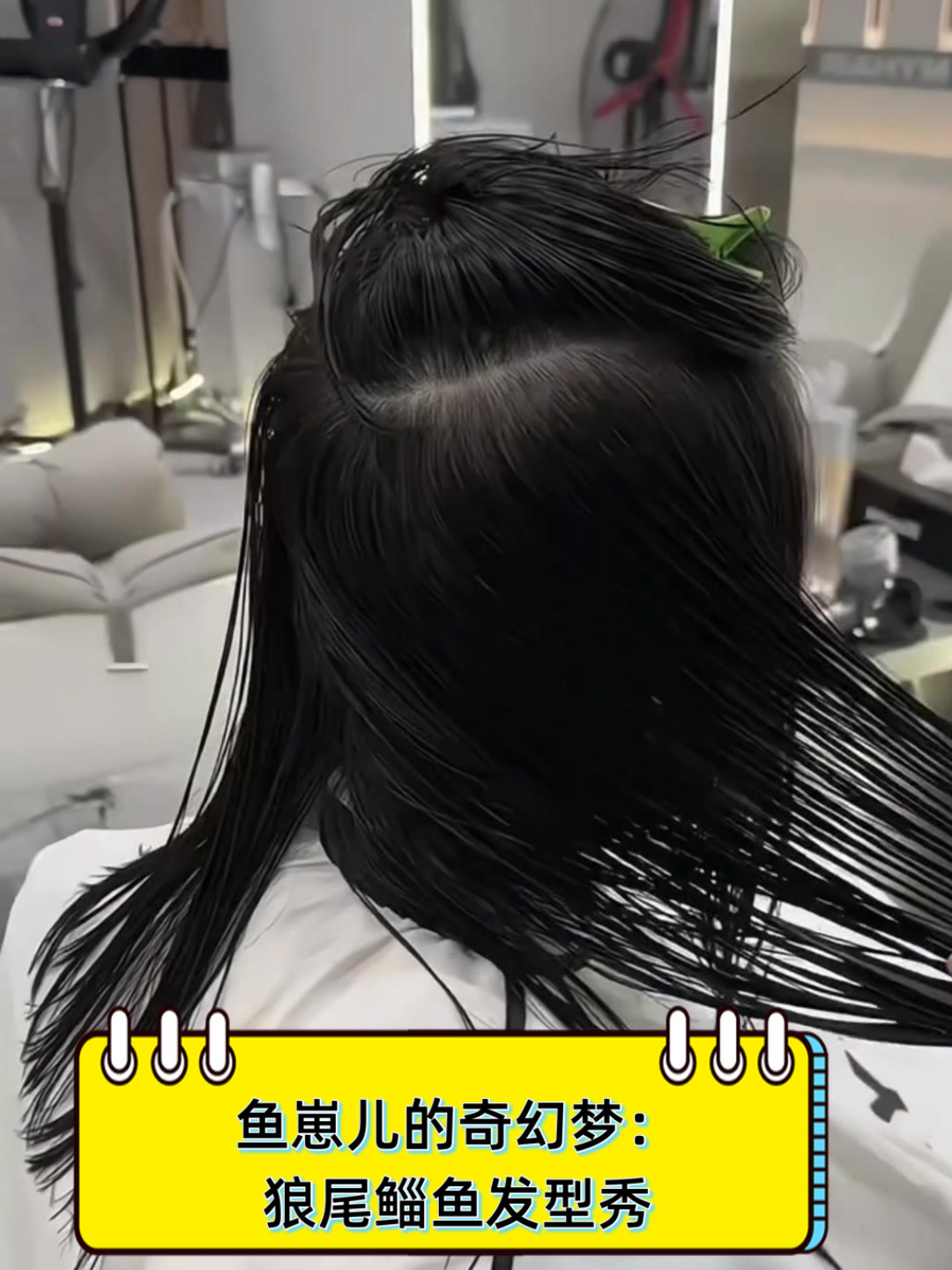 鱼崽儿的奇幻梦:狼尾鲻鱼发型秀