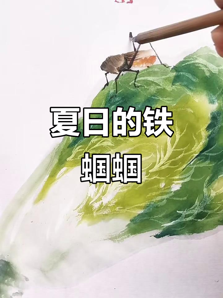 夏日白菜叶上的铁蝈蝈,画中藏着的清凉时光
