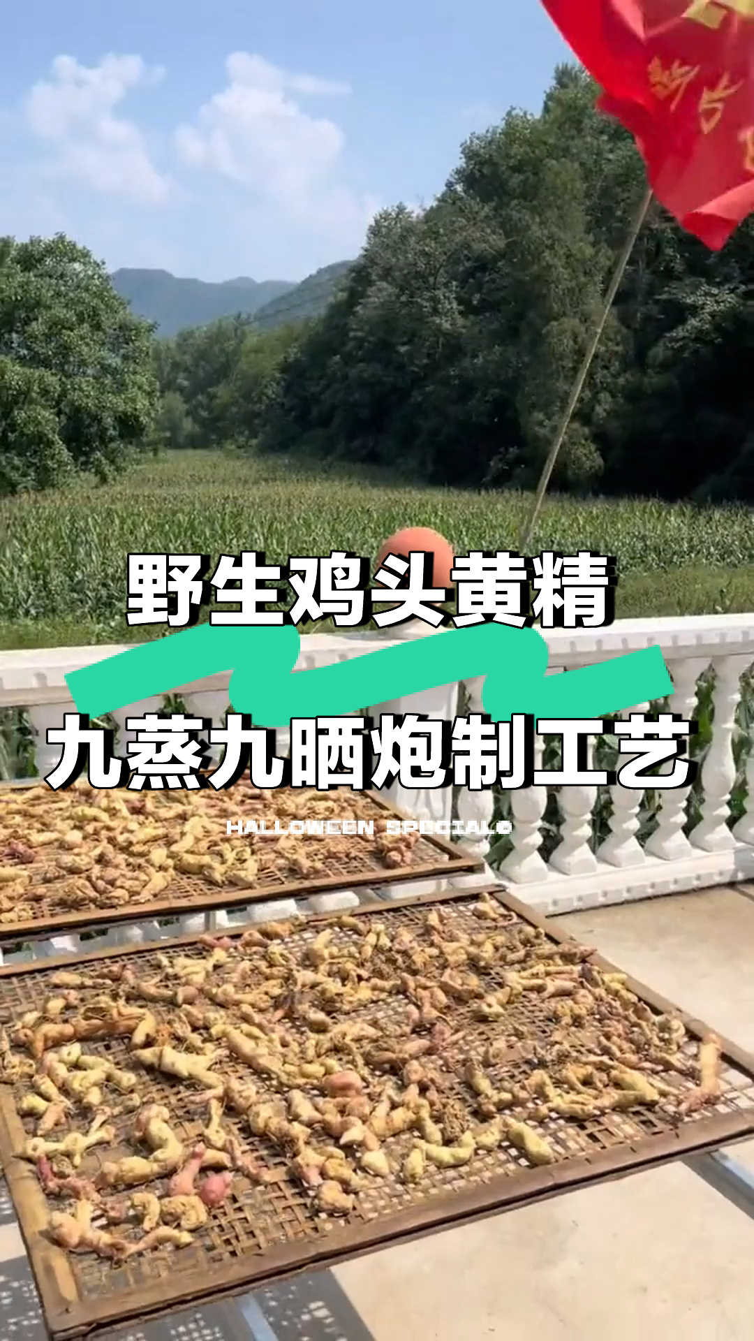九蒸九晒鸡头黄精的功效与作用