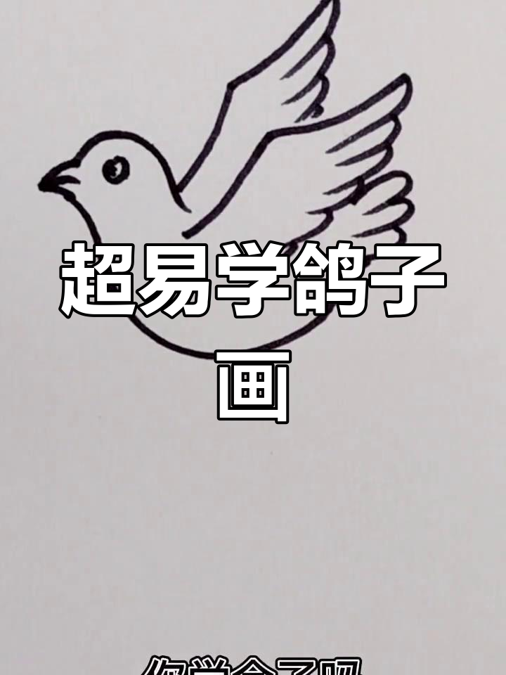 超级简单鸽子简笔画,轻松学会