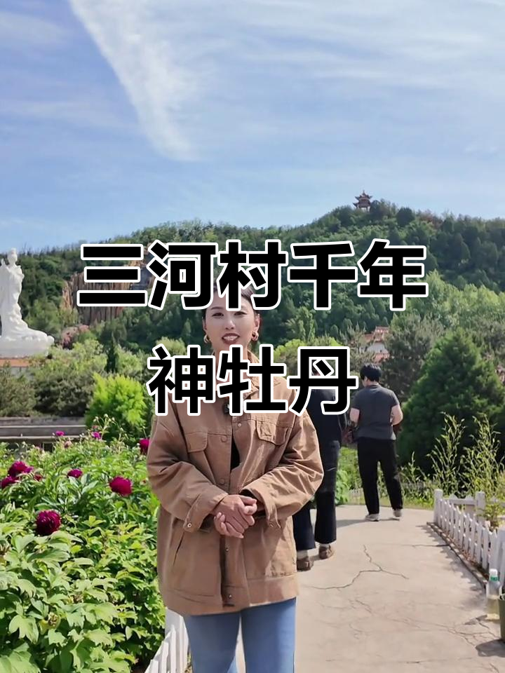山西千年白牡丹，盛世开花乱世莲容，花香四溢如古画