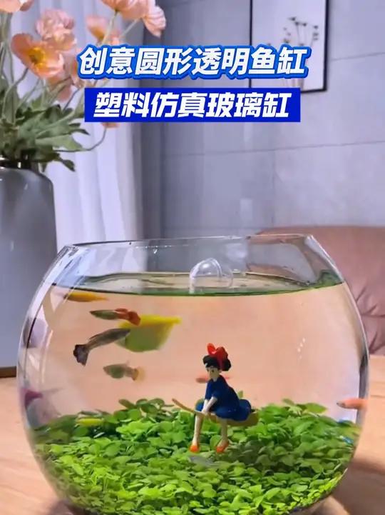 喜欢养鱼的这个鱼缸质量真的很好 鱼缸 造景鱼缸 养鱼 鱼缸造景 好东西一起分享