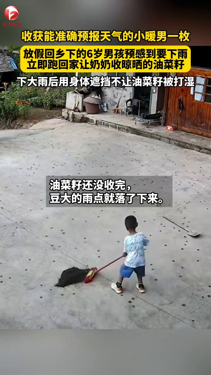 6岁男孩预感到天要下雨，小男孩用身体遮挡防止油菜籽被打湿