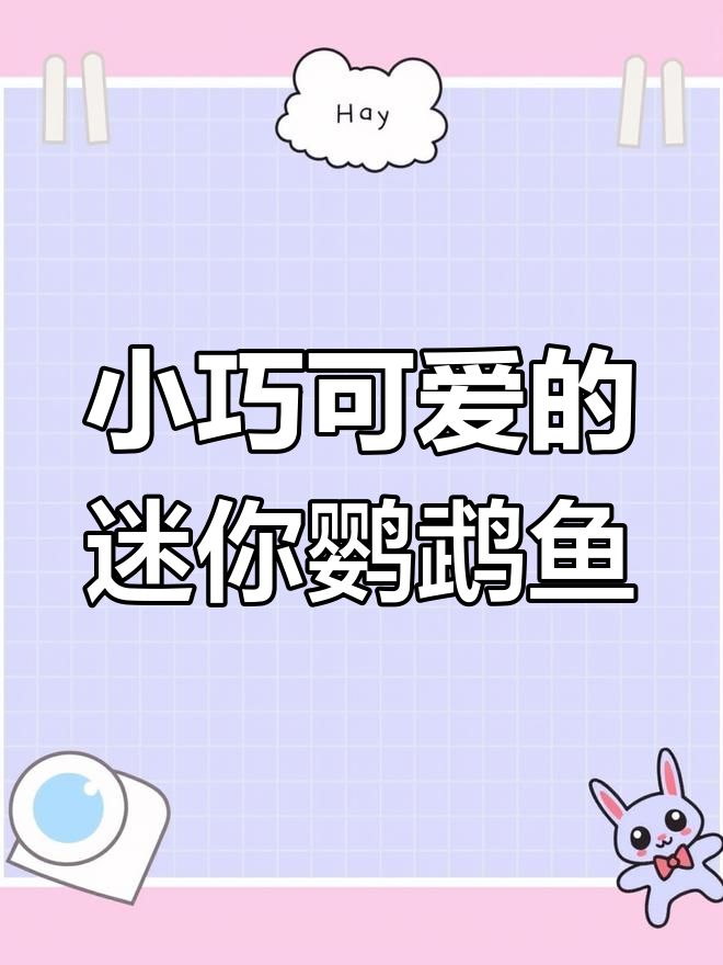 迷你鹦鹉鱼:可爱热带观赏鱼的成长与繁殖