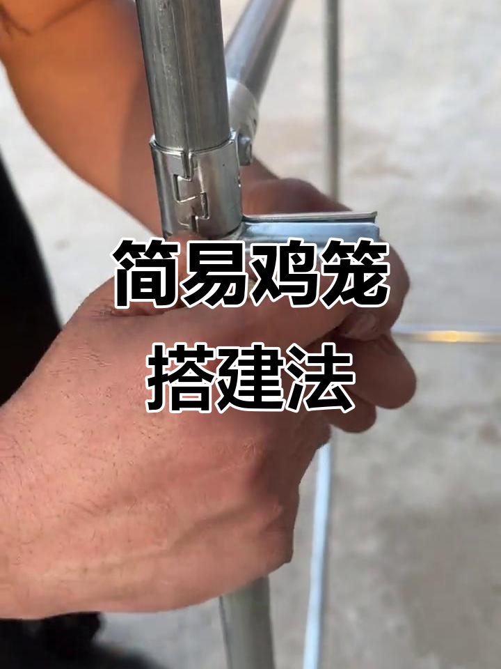 用卡扣和钢管轻松搭建鸡笼,结实又方便!