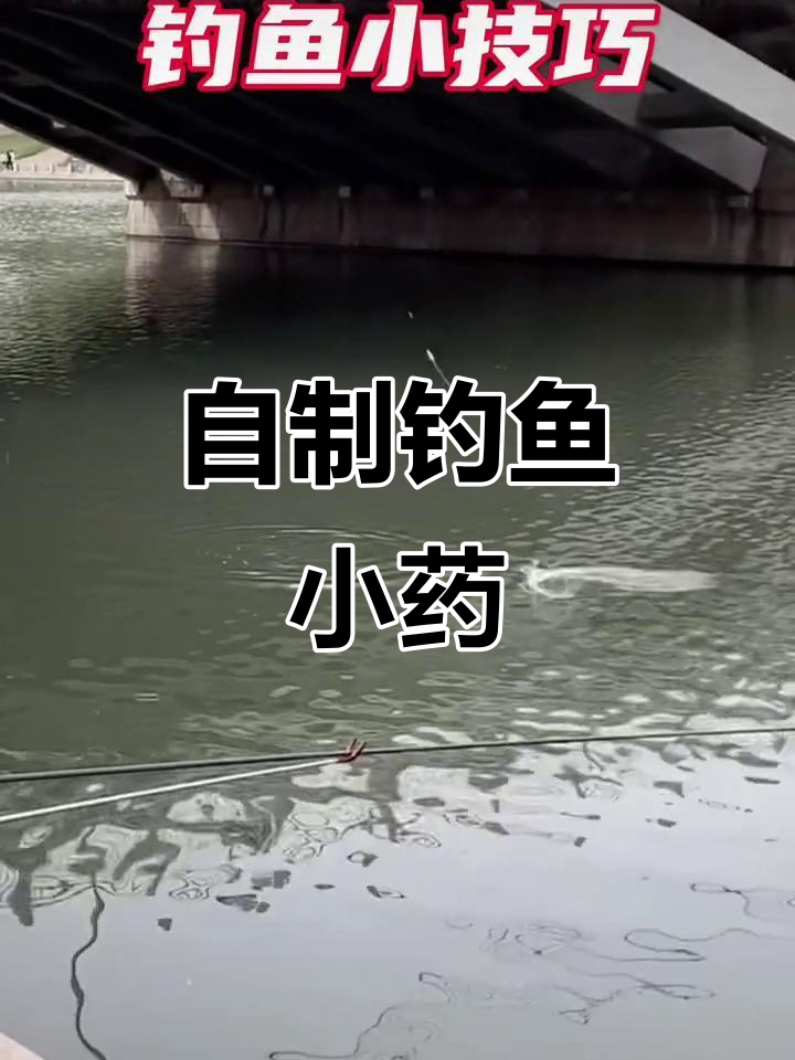 钓鱼小药配方大揭秘,土方法让你轻松钓获