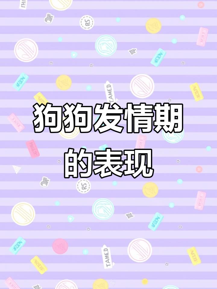 狗狗发情期行为大揭秘,如何判断并应对