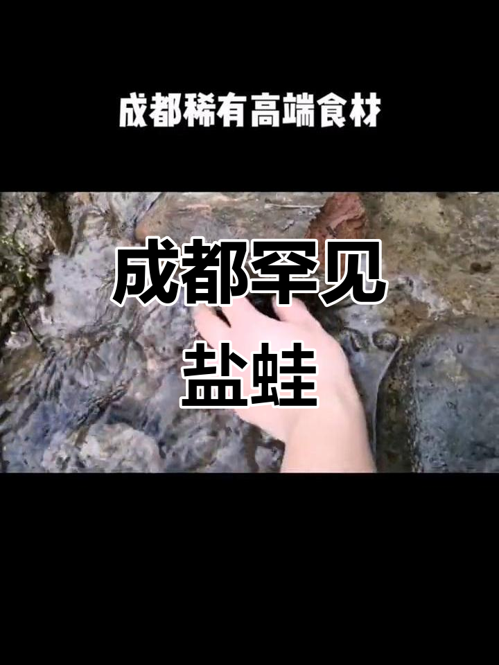 成都稀有高端食材,五星级酒店都难寻的盐蛙棒棒鱼