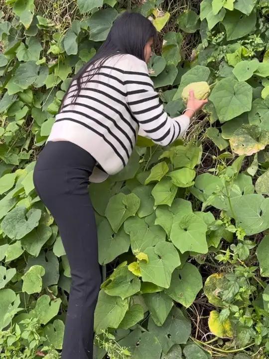 还是农村好,生活节奏慢,没有诗和远方,菜园子里种种菜,吃着纯天然的绿色蔬菜,藏着最惬意的生