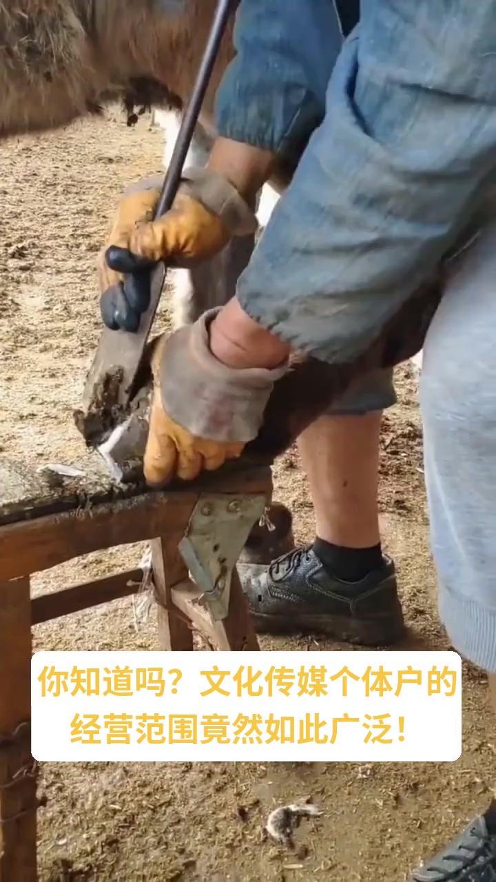 文化传媒个体户经营范围有哪些