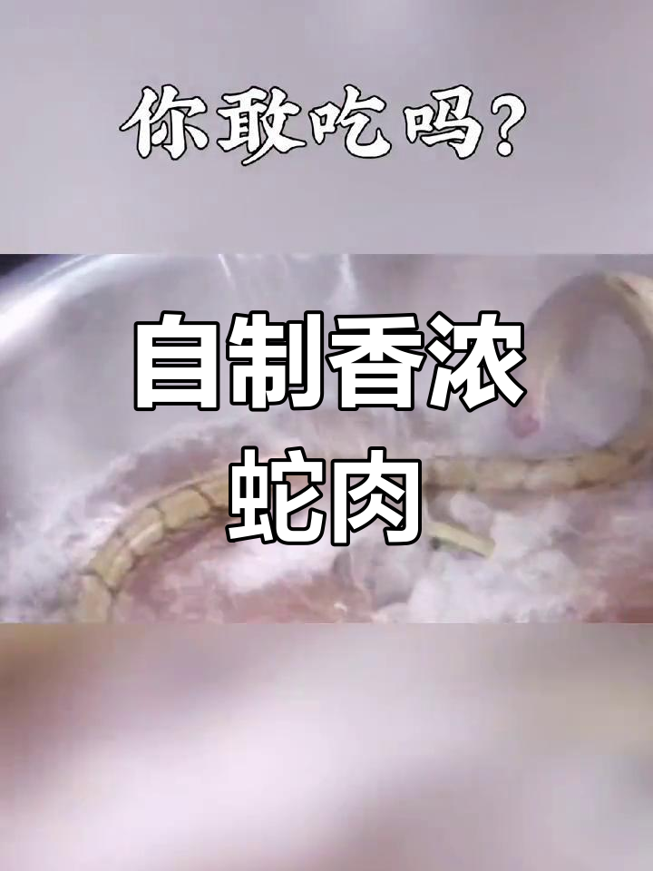 蛇肉美味做法大揭秘