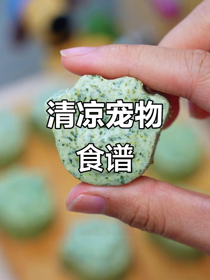 夏日清凉，菠菜西兰花搭配让宠物消暑更有效！