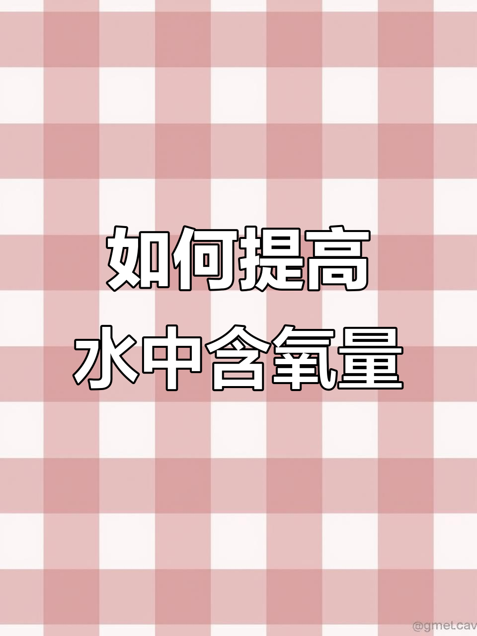 氧气泵如何通过气泡提升水质?揭秘增氧机的工作原理