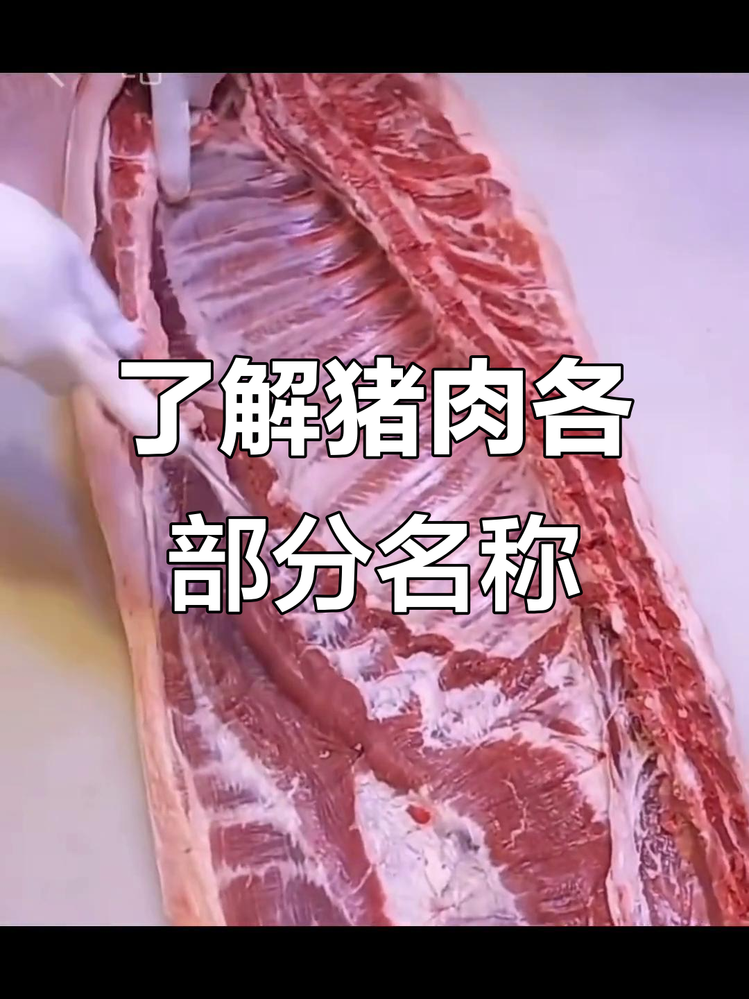 猪肉部位全解析：从内里西到尾叉带肉的详细介绍