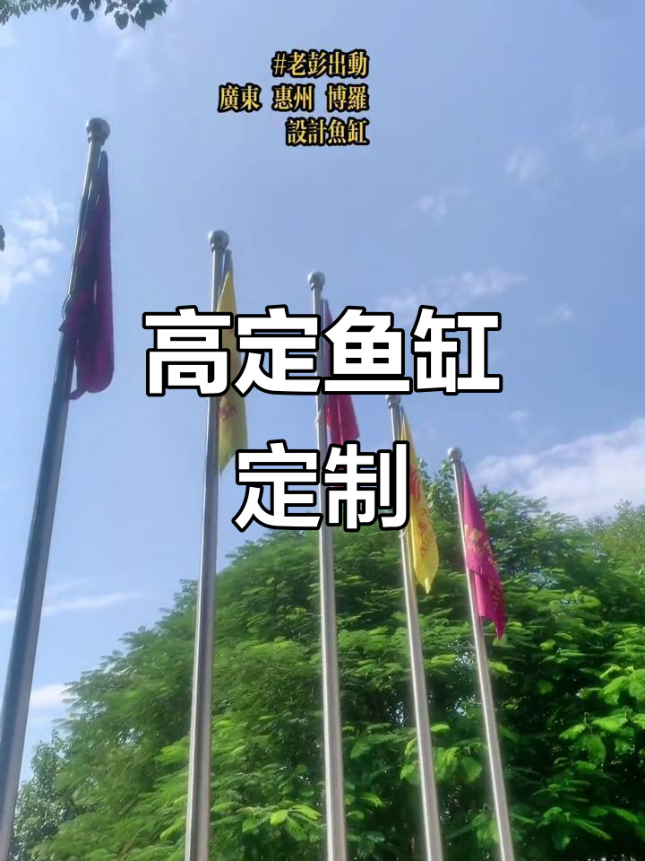 惠州博罗定制鱼缸,高定系列设计打造专属水族世界