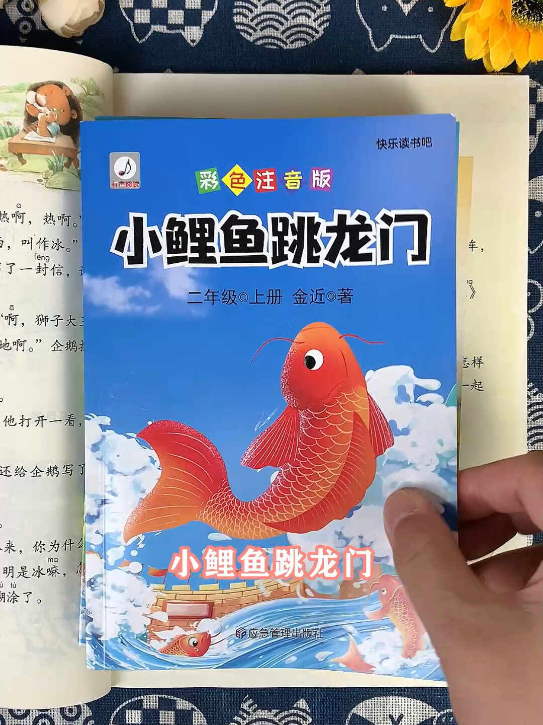 全套5册快乐读书吧二年级上册小鲤鱼跳龙门