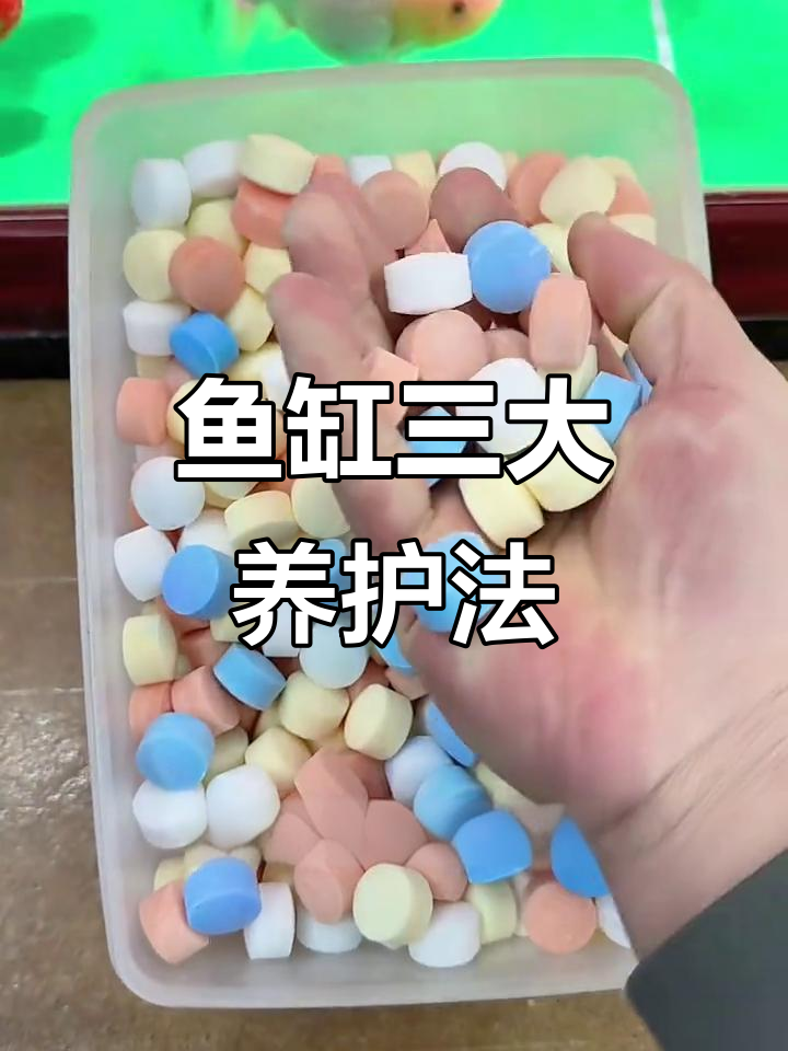 养鱼老三样:换水、升温、加盐,预防胜于治疗