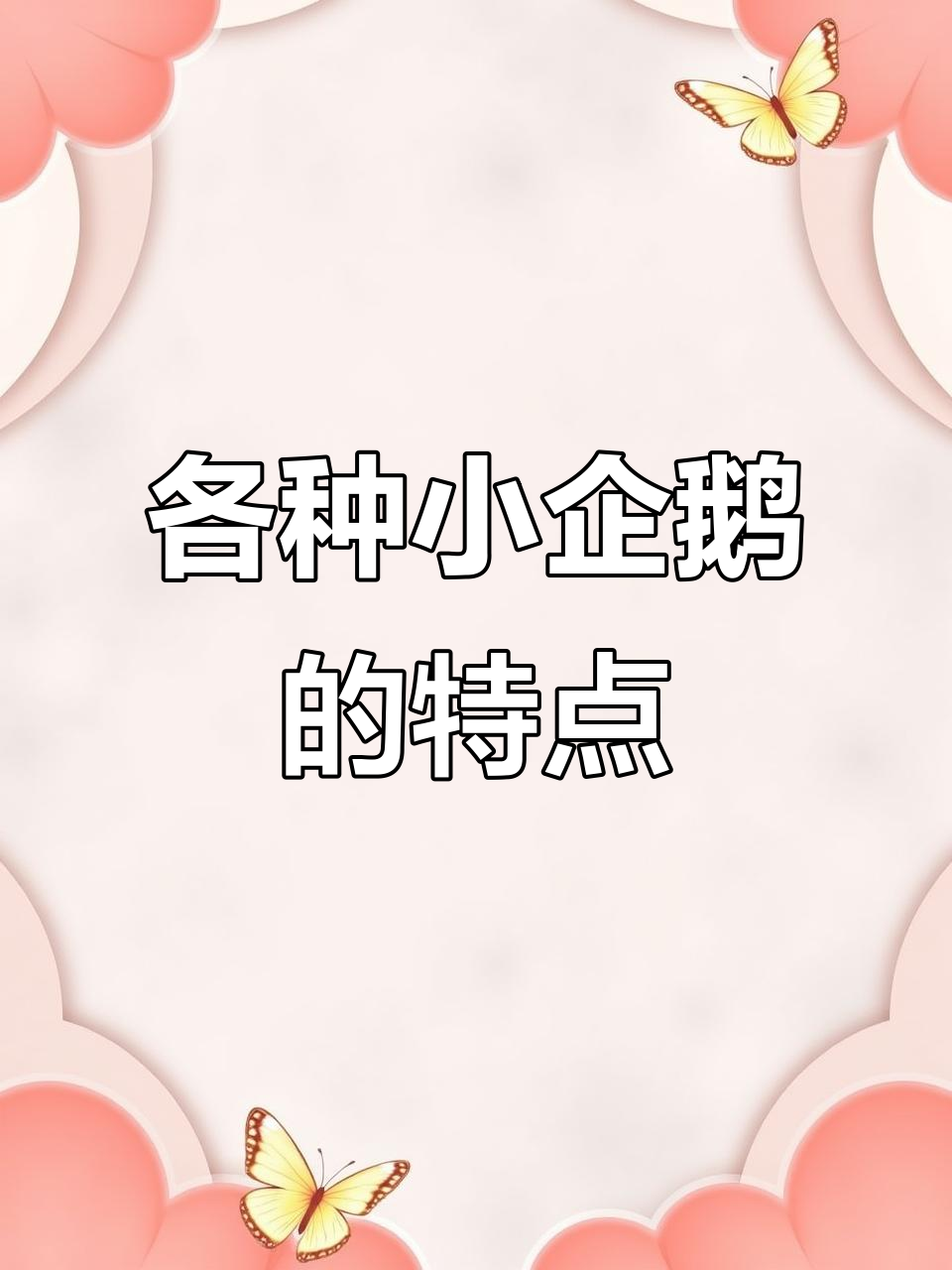 小企鹅大不同:从帝企鹅到小蓝企鹅,你了解吗?