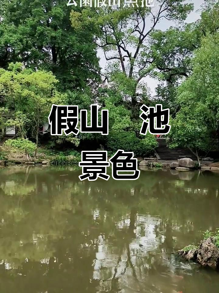 公园假山鱼池美景,静谧又生动