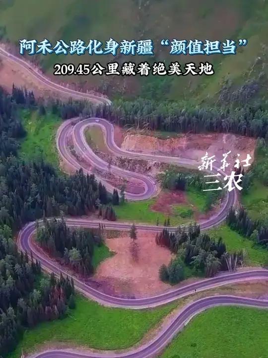 新疆阿禾公路成暑期自驾热地,209.45公里藏草原戈壁等美景,通车后超3万辆车、10万人打