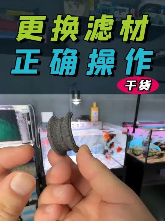 鱼缸正确如何更换或清洗滤材？怎么算用多少滤材？上实战！