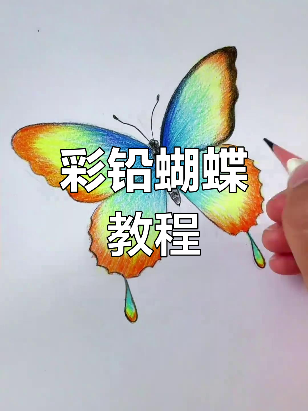 用彩铅画蝴蝶,简单又好看!挑战不同色彩搭配