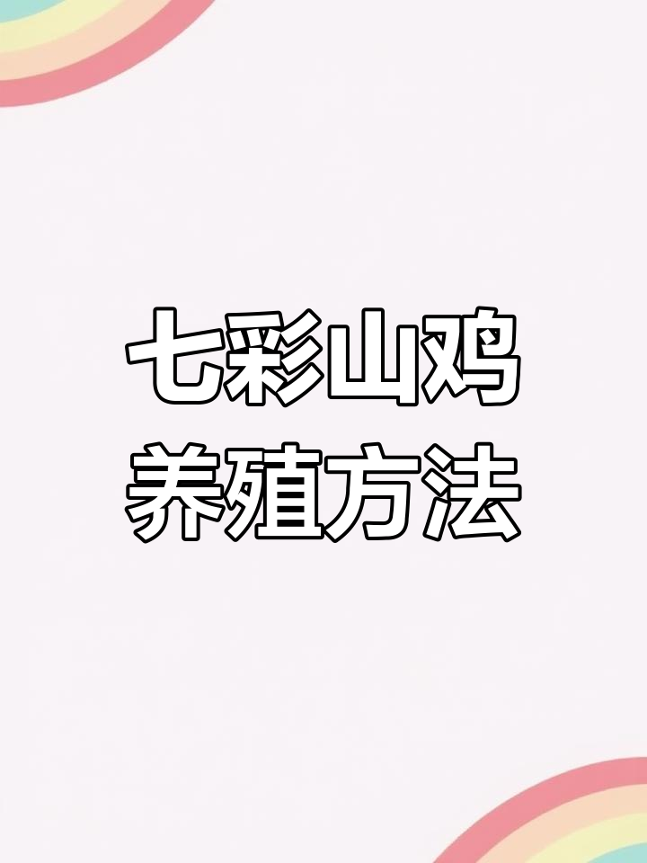 七彩山鸡养殖技巧:如何用纸箱和灯泡打造舒适环境