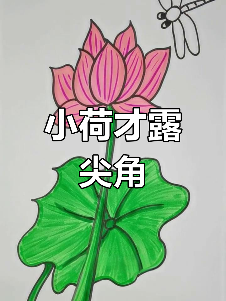 荷花与蜻蜓的简笔画,轻松学会水彩技巧