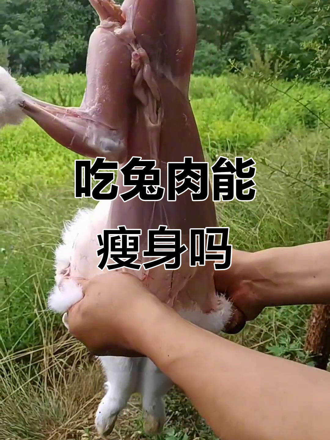 兔肉真能减肥？了解它的营养价值与健康益处